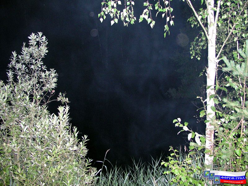 Природа Воскресенска