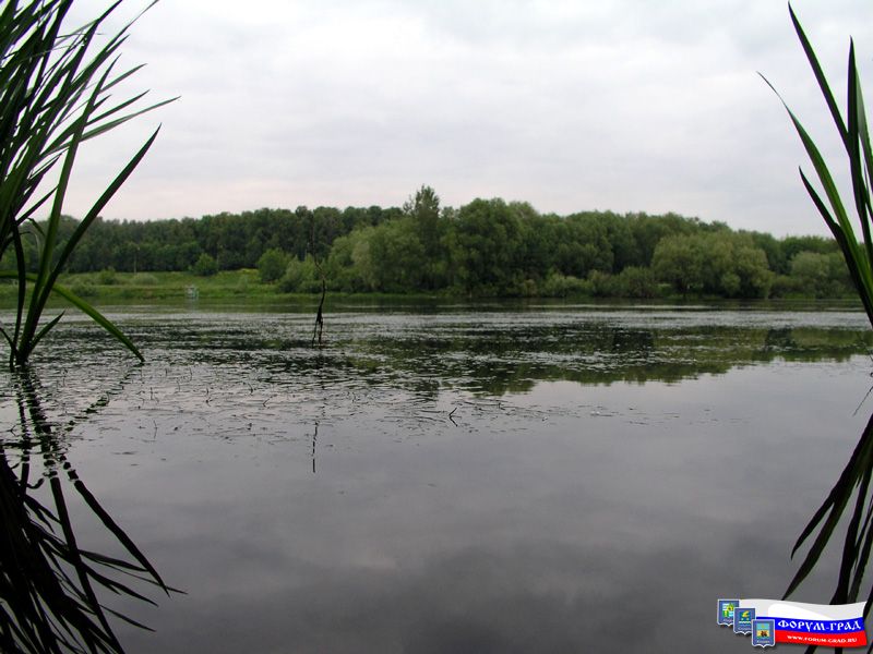 Природа Воскресенска