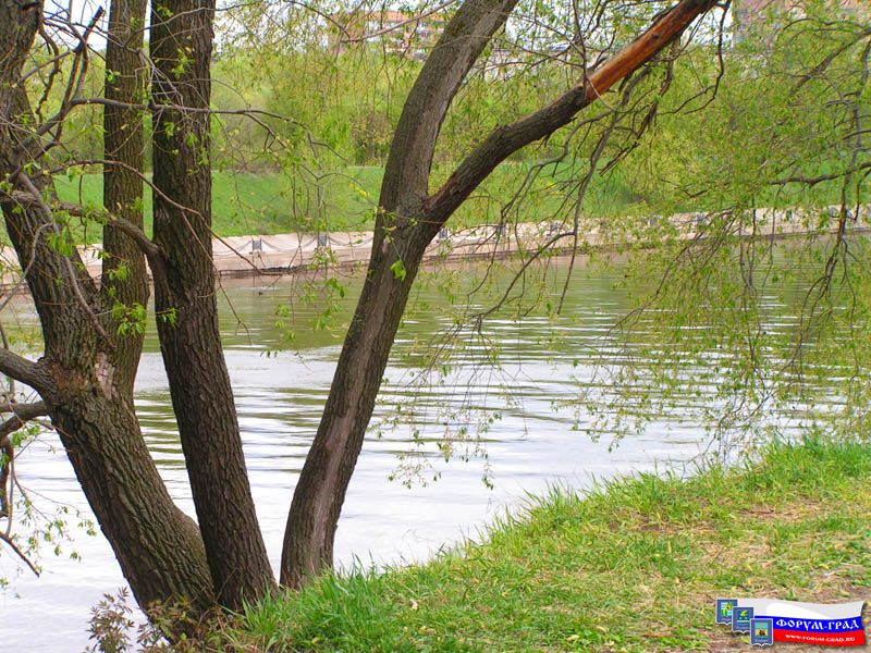 Природа Воскресенска