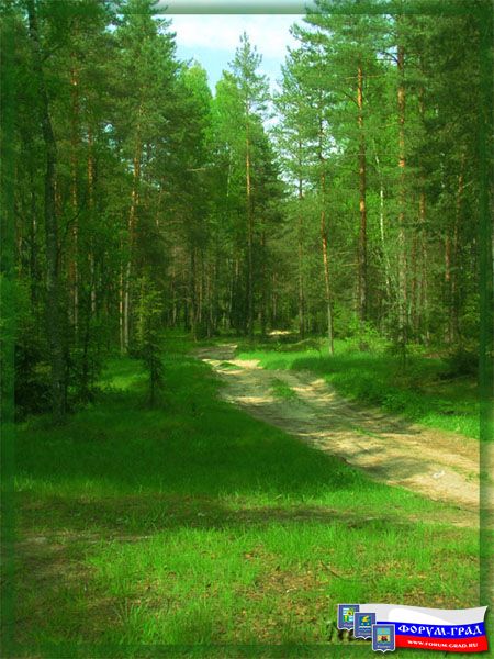 Природа Воскресенска