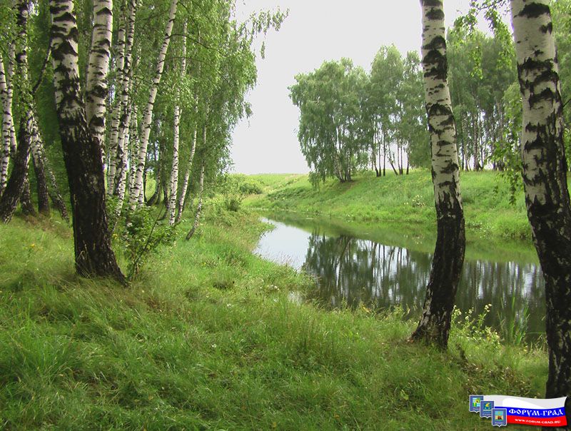 Природа Воскресенска