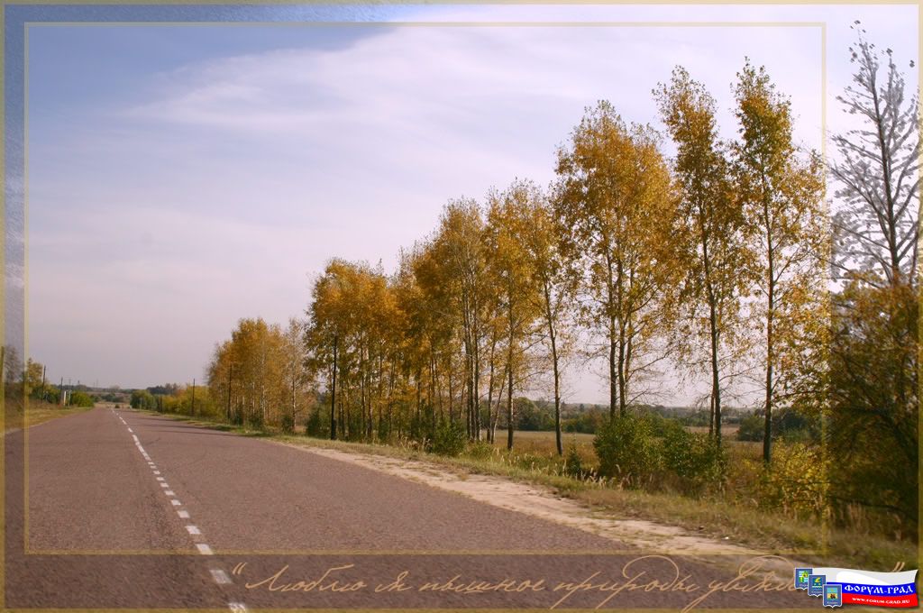 Природа Воскресенска