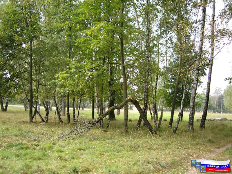 Природа Воскресенска