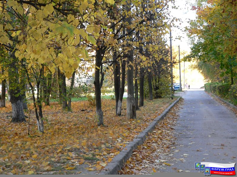 Природа Воскресенска