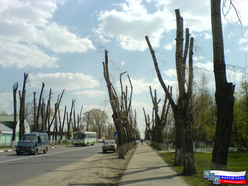 Современный Воскресенск