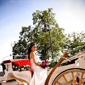 horse-carriage-wedding-05
