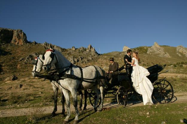 horse-carriage-wedding-07
