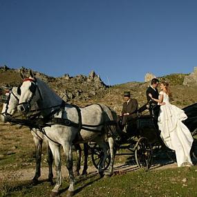 horse-carriage-wedding-07