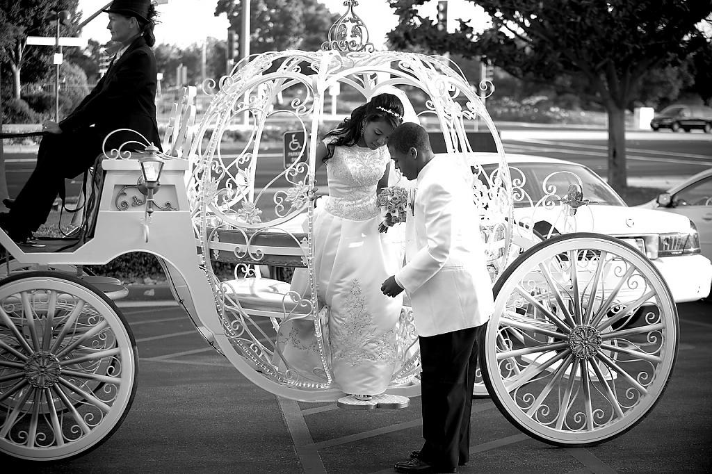 horse-carriage-wedding-08