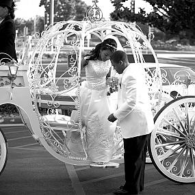 horse-carriage-wedding-08