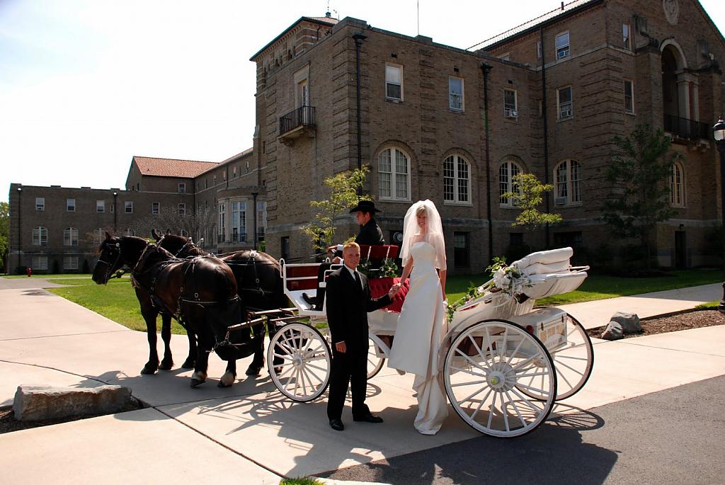 horse-carriage-wedding-11