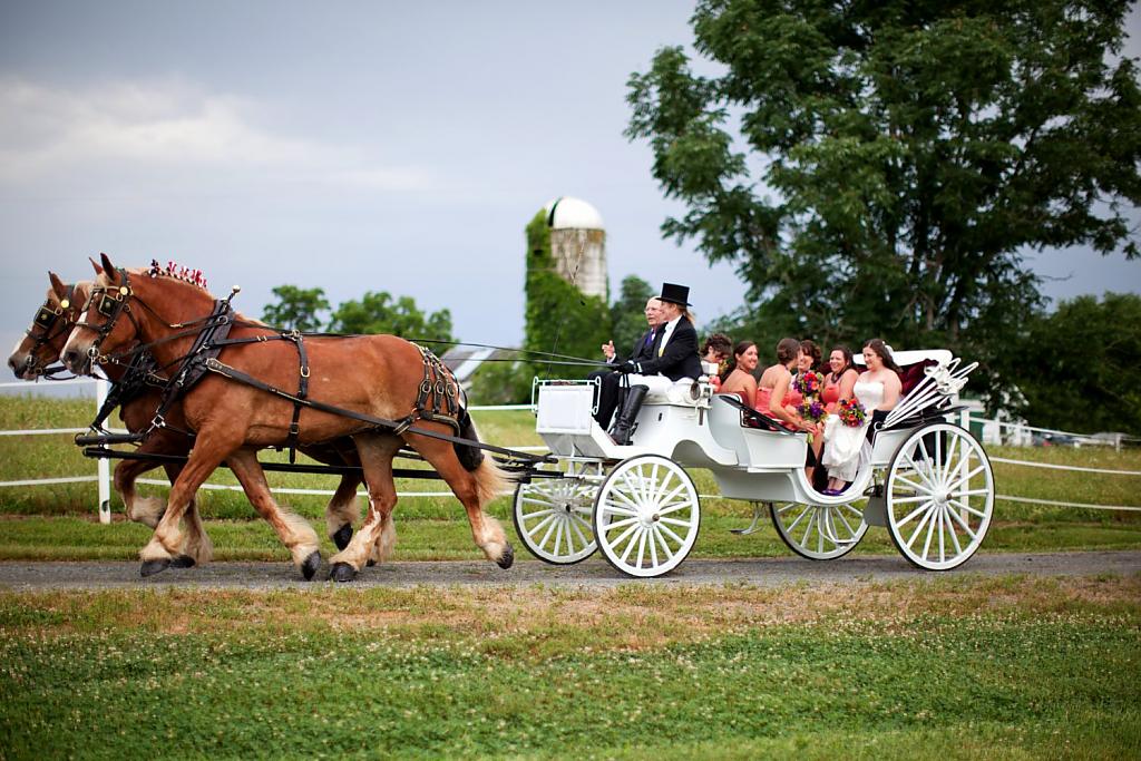 horse-carriage-wedding-12