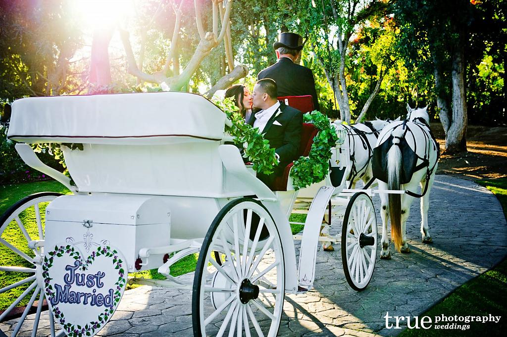 horse-carriage-wedding-13