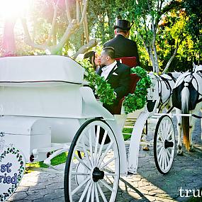 horse-carriage-wedding-13