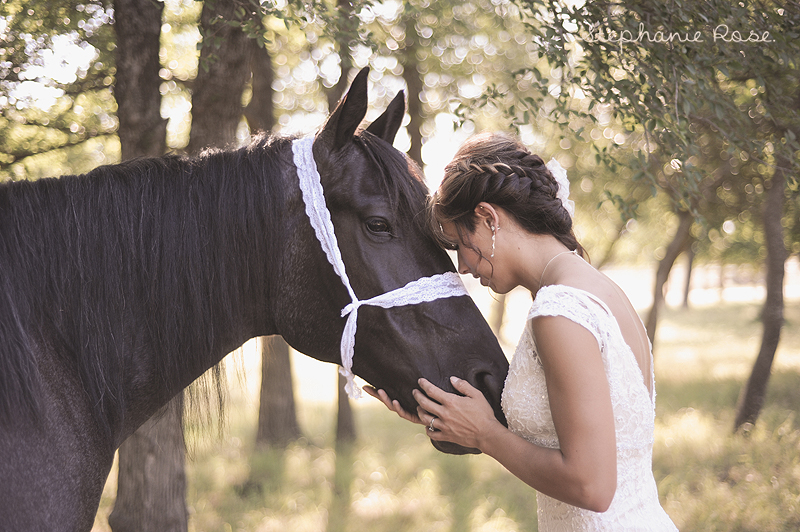 horse-themed-wedding-103