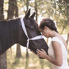 horse-themed-wedding-103