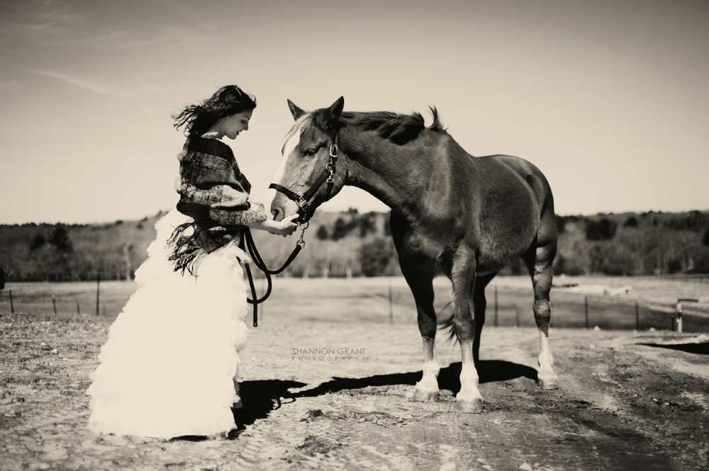 horse-themed-wedding-25