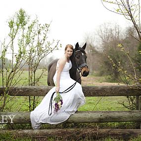 horse-themed-wedding-50
