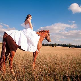 horse-themed-wedding-53