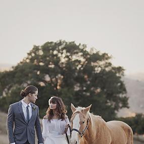 horse-themed-wedding-57