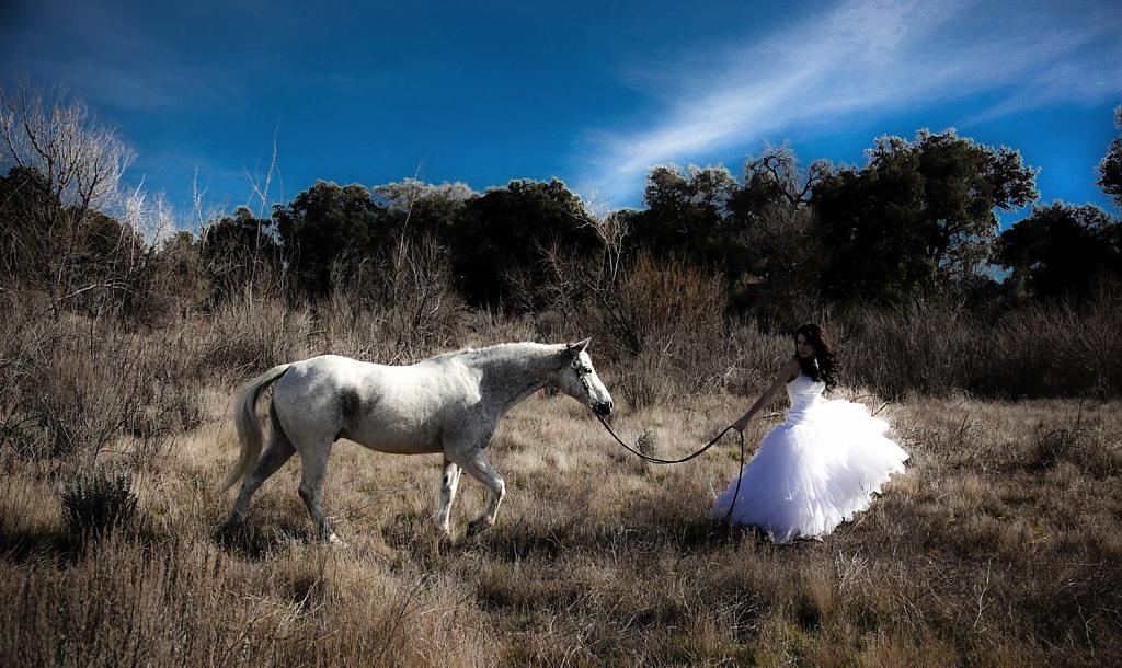horse-themed-wedding-72