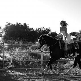 horse-themed-wedding-87