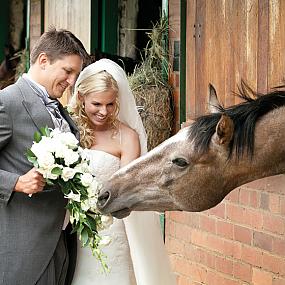 horse-themed-wedding-90