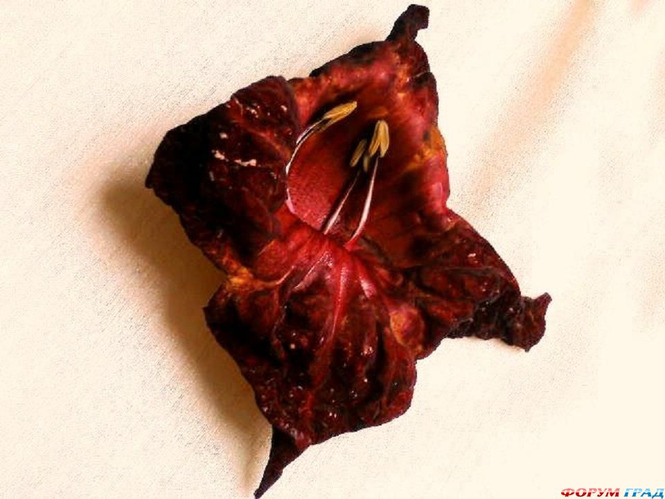 reminder-of-a-victorian-era-100 302648