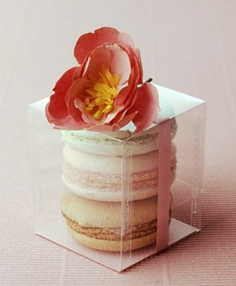 delicious-macarons-for-your-wedding-38