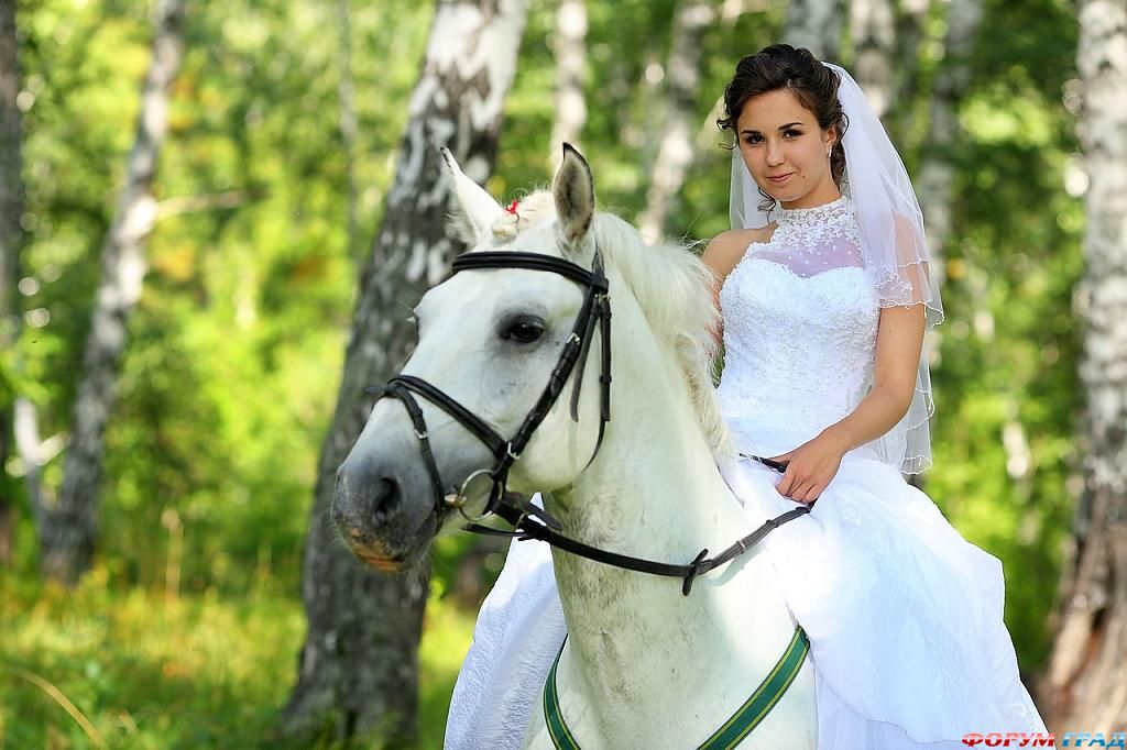 Лошади на свадьбе