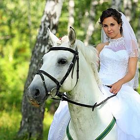 Лошади на свадьбе