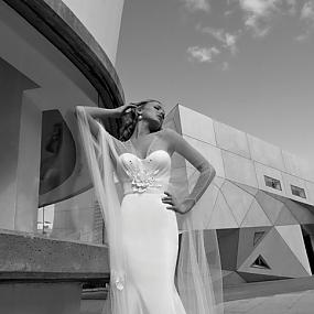 breathtaking-wedding-dresses-collection-by-galia-lahav-10