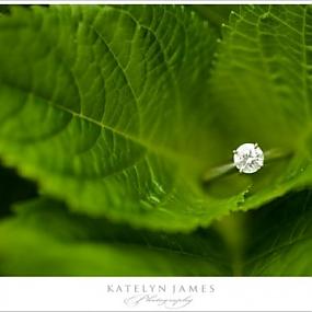 magically-beautiful-engagement-ring-shoots-12
