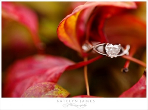 magically-beautiful-engagement-ring-shoots-17