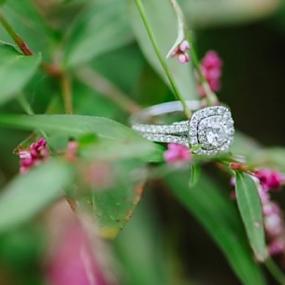 magically-beautiful-engagement-ring-shoots-5