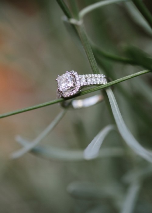 magically-beautiful-engagement-ring-shoots-7