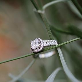 magically-beautiful-engagement-ring-shoots-7