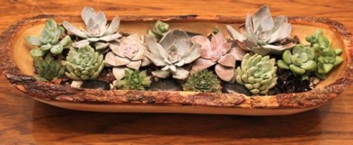 succulent-centerpieces-for-your-recepton-table-10