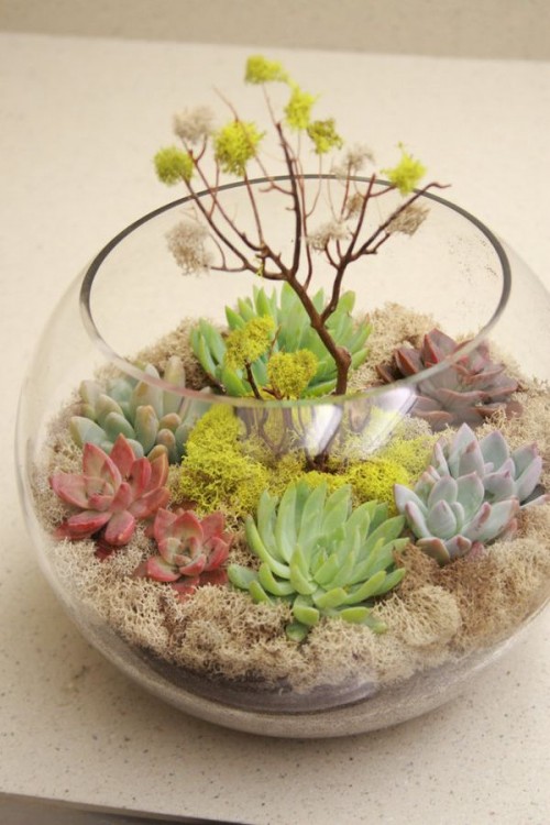 succulent-centerpieces-for-your-recepton-table-4