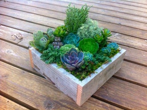 succulent-centerpieces-for-your-recepton-table-6