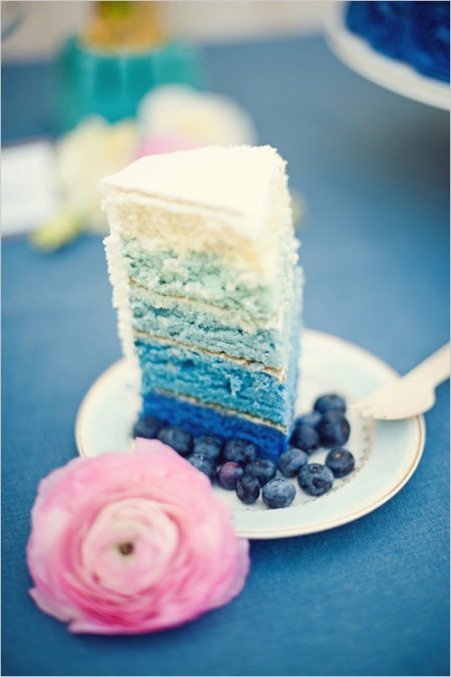 vintage-blueberry-wedding-inspiration-15