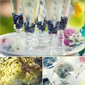 vintage-blueberry-wedding-inspiration-3