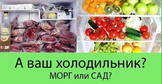 морг или сад?