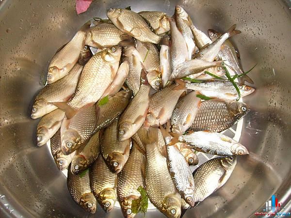 Рыбалка в Корыстово