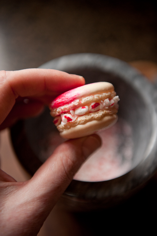 peppermint-macarons-a-step-by-step-tutorial-05