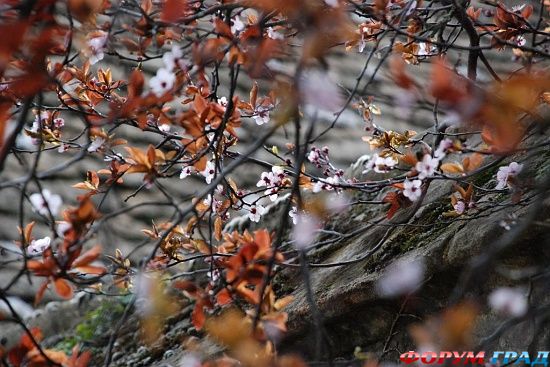 Bampton Church/Бамптон, Оксфордшир, Англия