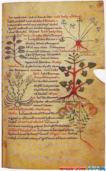 аббатство святого Августина, Кентербери