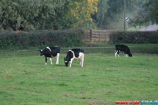 Церковь Св. Марии в деревне Дирхерст/Deerhurst Church
