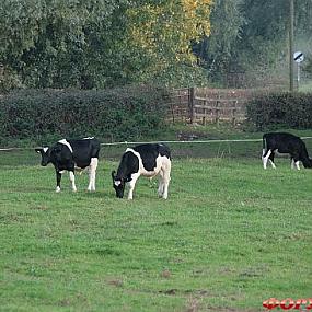 Церковь Св. Марии в деревне Дирхерст/Deerhurst Church