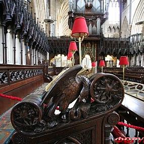 эксетер собор/Exeter Cathedral